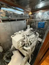 Thumbnail von Jefferson 52` Sweet Caroline