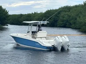 Thumbnail von Boston Whaler 280 Dauntless