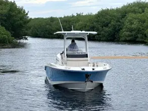 Thumbnail von Boston Whaler 280 Dauntless