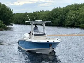 Thumbnail von Boston Whaler 280 Dauntless