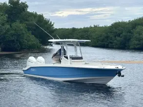 Thumbnail von Boston Whaler 280 Dauntless