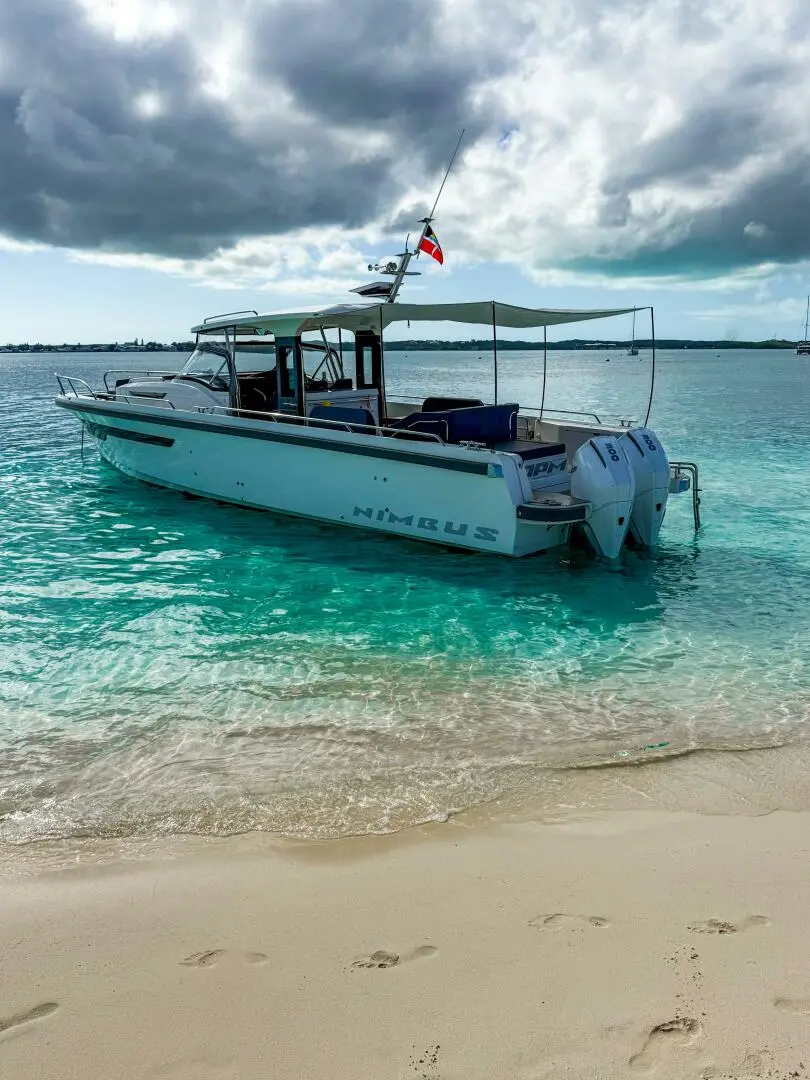 Thumbnail von Nimbus T11 OPM