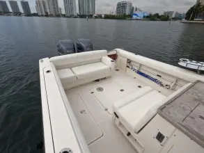 Thumbnail von Pursuit Drummond Island Runner 34