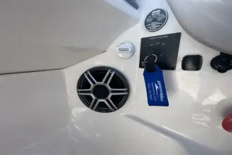 Thumbnail von Sea Ray SDX 250 Surf