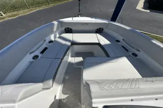 Thumbnail von Sea Ray SDX 250 Surf