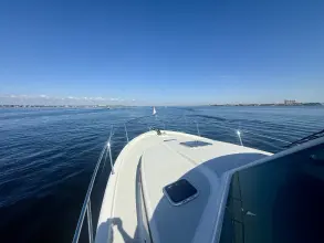 Thumbnail von Back Cove 39O