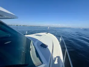 Thumbnail von Back Cove 39O