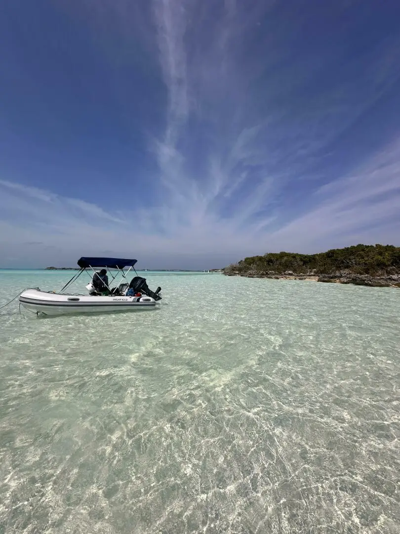 Thumbnail von Leopard 46 Powercat  WANDER TWINS