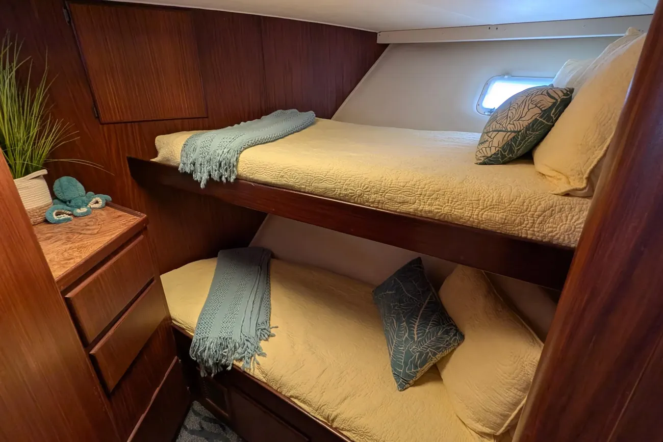 Thumbnail von Hatteras 43 Convertible