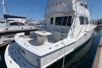 Thumbnail von Hatteras 43 Convertible