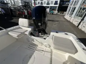 Thumbnail von Boston Whaler 170 Montauk