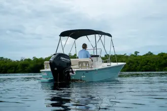 Thumbnail von Boston Whaler 170 Montauk