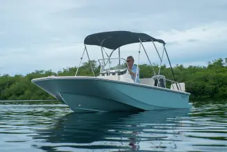 Thumbnail von Boston Whaler 170 Montauk