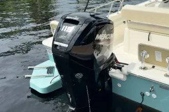 Thumbnail von Boston Whaler 170 Montauk