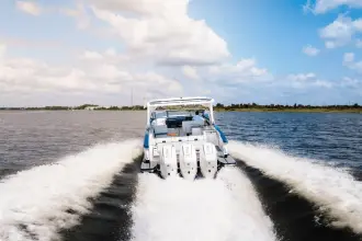 Thumbnail von Aviara 36