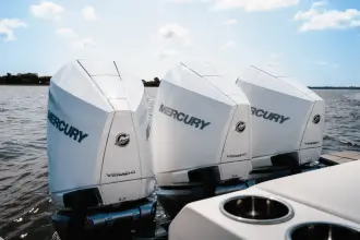 Thumbnail von Aviara 36