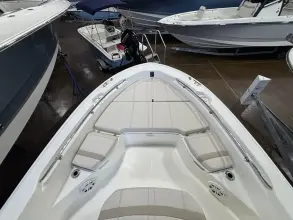 Thumbnail von Boston Whaler 250 Dauntless