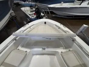 Thumbnail von Boston Whaler 250 Dauntless