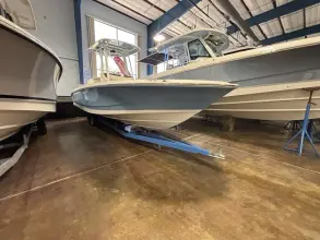 Thumbnail von Boston Whaler 250 Dauntless