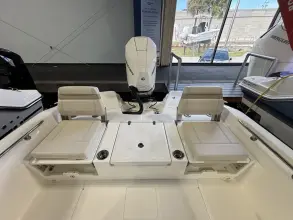 Thumbnail von Boston Whaler 250 Dauntless