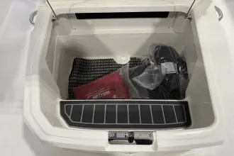 Thumbnail von Boston Whaler 250 Dauntless