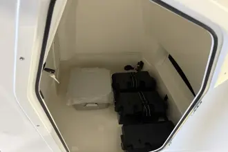 Thumbnail von Boston Whaler 250 Dauntless