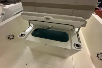 Thumbnail von Boston Whaler 250 Dauntless