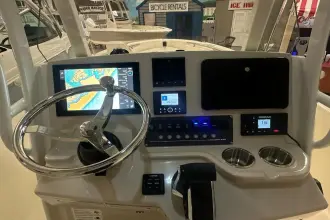 Thumbnail von Boston Whaler 250 Dauntless