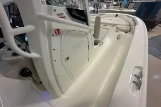 Thumbnail von Boston Whaler 250 Dauntless