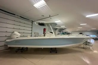 Thumbnail von Boston Whaler 250 Dauntless