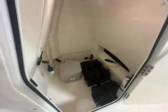 Thumbnail von Boston Whaler 250 Dauntless