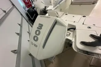 Thumbnail von Boston Whaler 250 Dauntless