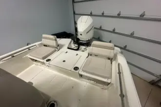 Thumbnail von Boston Whaler 250 Dauntless