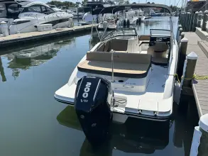 Thumbnail von Sea Ray SPX 210 Außenborder
