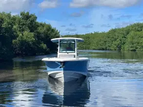 Thumbnail von Boston Whaler 330 Outrage