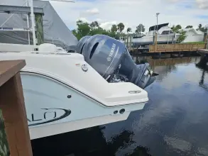 Thumbnail von Robalo R272 CC