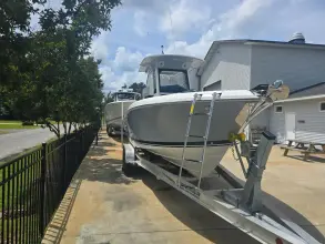 Thumbnail von Pursuit S 248