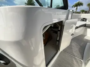 Thumbnail von Sea Ray SDX 250 fuera de borda