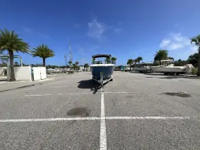 Thumbnail von Sea Ray SDX 250 fuera de borda