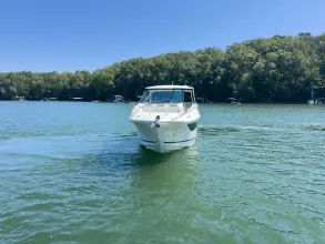 Thumbnail von Sea Ray 320 Sundancer