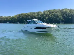 Thumbnail von Sea Ray 320 Sundancer