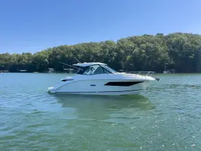 Thumbnail von Sea Ray 320 Sundancer