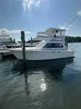 Thumbnail von Egg Harbor 37 Convertible Monkey Business