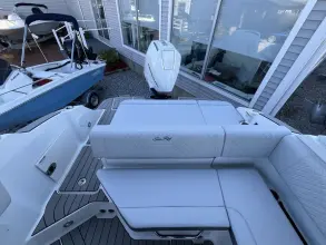 Thumbnail von Sea Ray SDX 250 Außenborder
