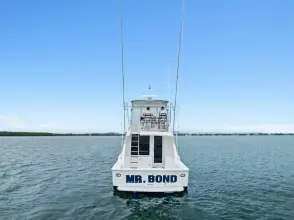 Thumbnail von Bertram 39 Convertible Mr. Bond