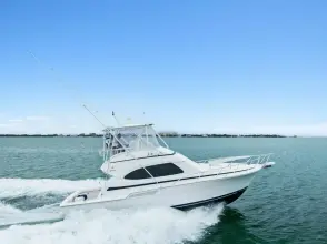 Thumbnail von Bertram 39 Convertible Mr. Bond