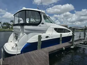 Thumbnail von Sea Ray 40 Motor Yatı