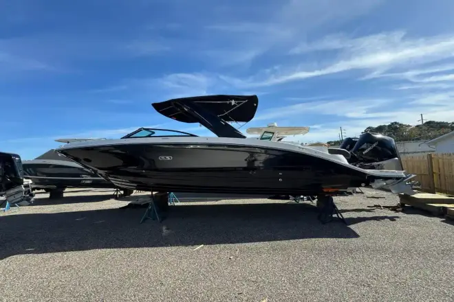 Sea Ray SDX 290 Außenborder