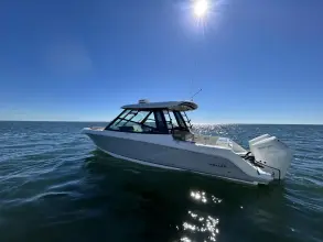 Thumbnail von Boston Whaler 330 Vantage