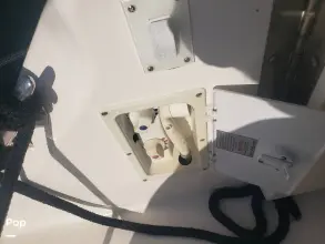 Thumbnail von Sea Ray 450 Express Bridge